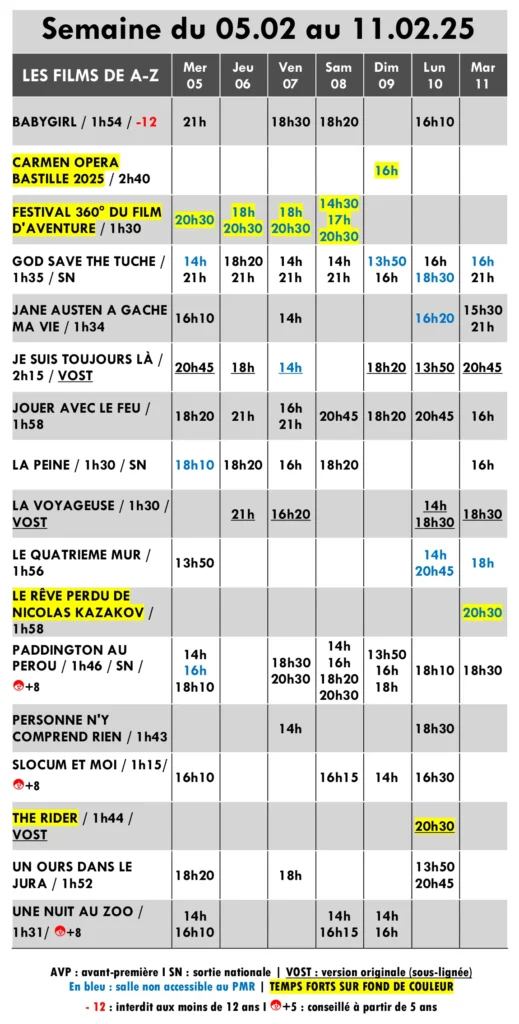 millau programme cinema 050225