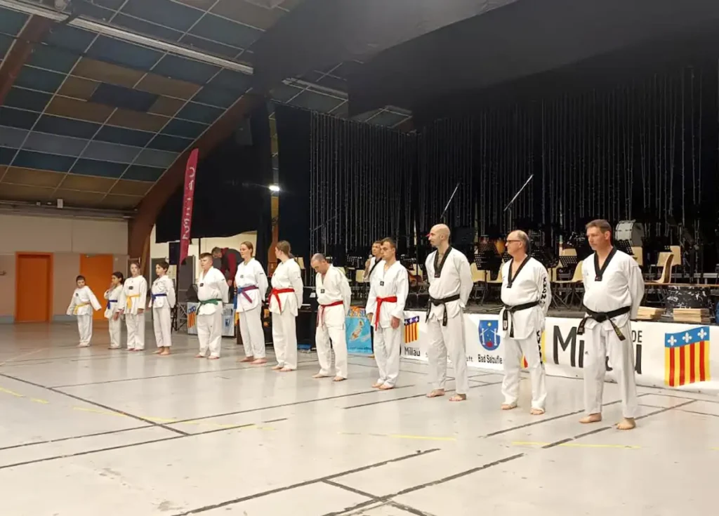 millau som taekwondo 1 1
