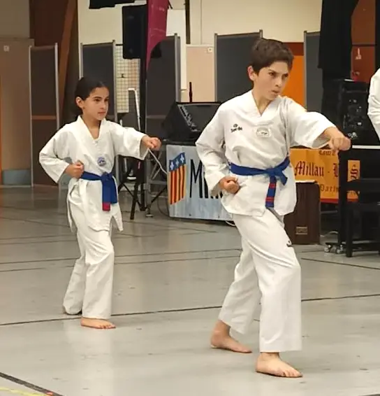 millau som taekwondo 2 1