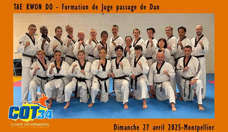 millau som taekwondo 3 1