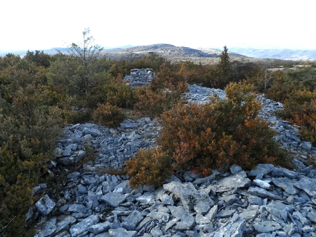 sainte eulalie cernon temple gallo romain puech cot 8